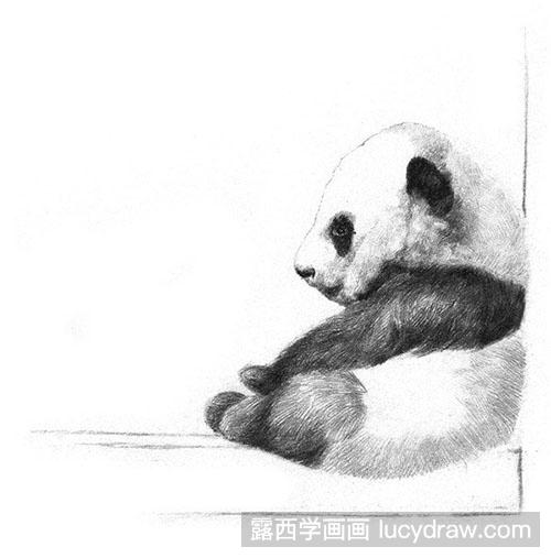 怎么素描大熊猫教程