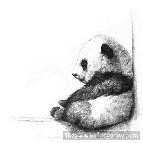 怎么素描大熊猫教程