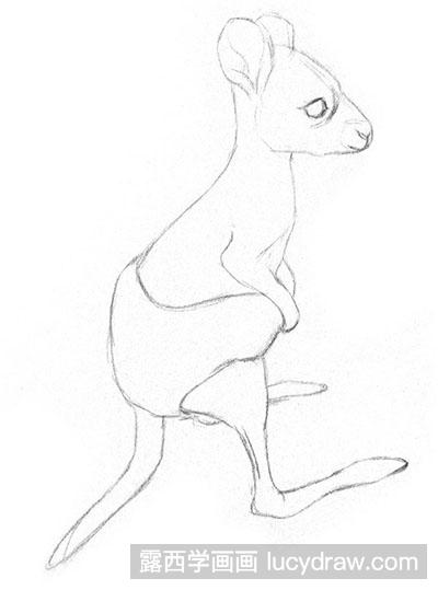 素描小袋鼠的绘制方法