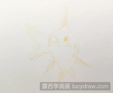 金鱼怎么用彩铅画?