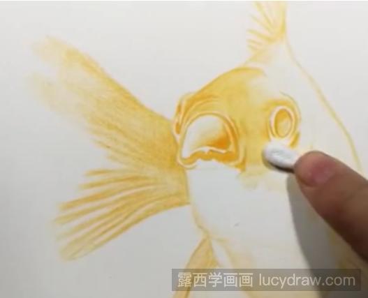 金鱼怎么用彩铅画?