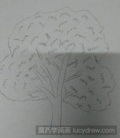 香樟树树皮简笔画图片