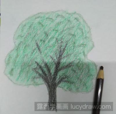 两棵香樟树绘画图片
