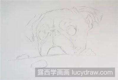 彩铅画动物之巴哥犬