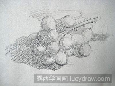 静物素描-葡萄