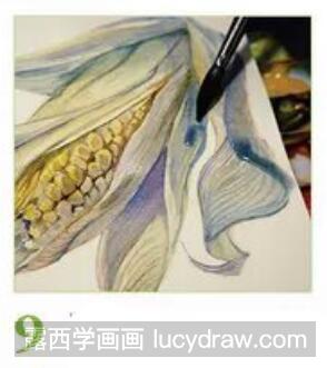 水彩画教程：怎么画玉米