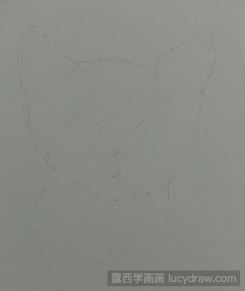 猫的素描教程