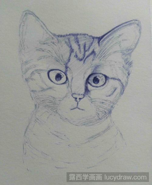 猫的素描教程