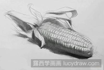 静物素描：玉米