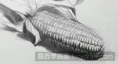 静物素描：玉米