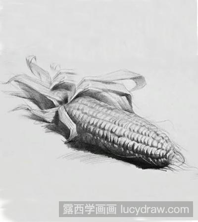 静物素描：玉米