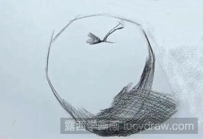 静物苹果的素描教程