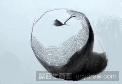 静物苹果的素描教程