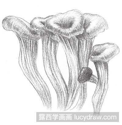 怎么画素描蘑菇