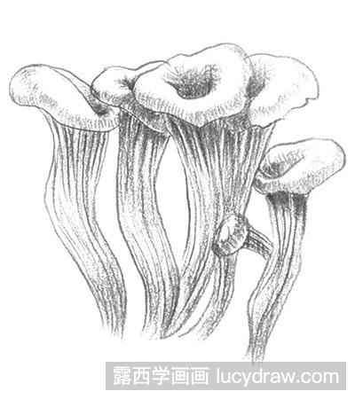 怎么画素描蘑菇