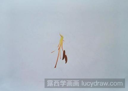 彩铅画粉色百合花步骤教程