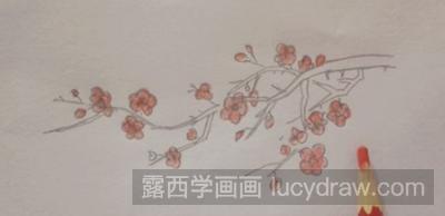 梅花彩铅画教程