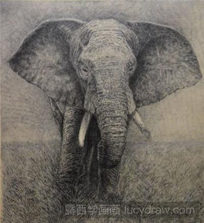钢笔画教程：教你画细腻的大象