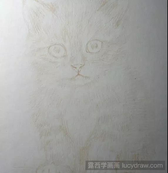 彩铅画：以猫为例教你刻画动物毛发