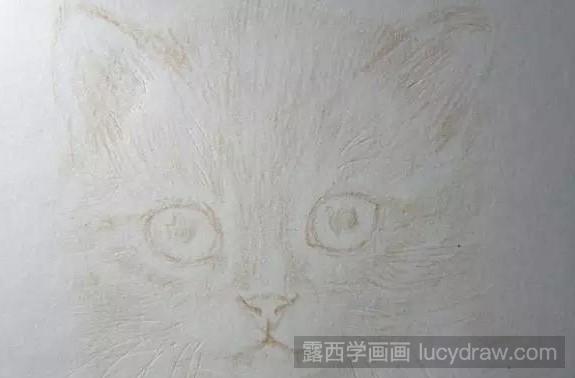 彩铅画：以猫为例教你刻画动物毛发