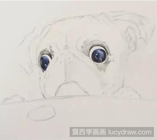 斗牛犬彩铅画教程