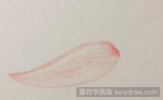 小辣椒彩铅画教程