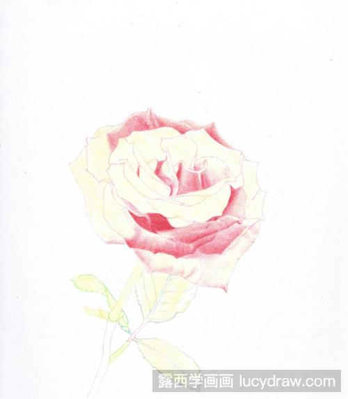 玫瑰花钢笔画教程