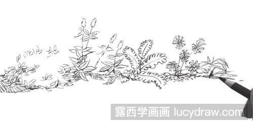 速写教程：路边植物绘画步骤