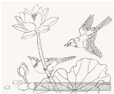工笔画教程之脊苓鸟的画法