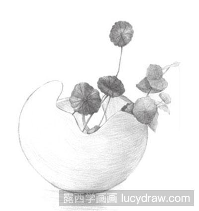 素描教程：怎么画铜钱草