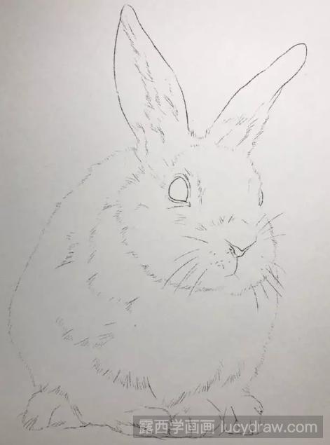 彩铅手绘兔子步骤教程