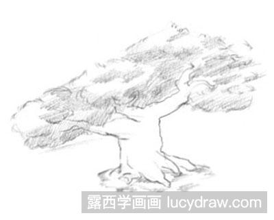 风景素描：怎么画松树