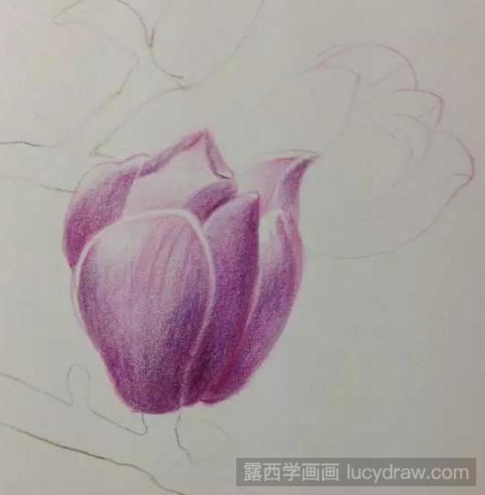 玉兰花彩铅画教程