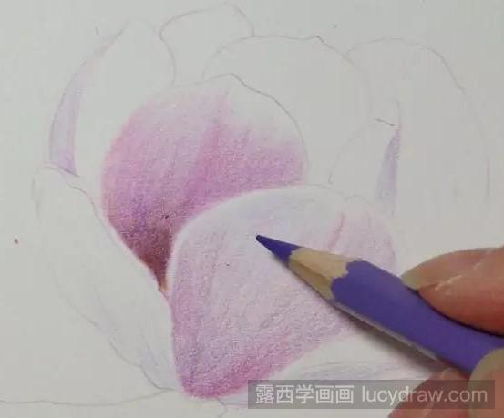 玉兰花彩铅画教程