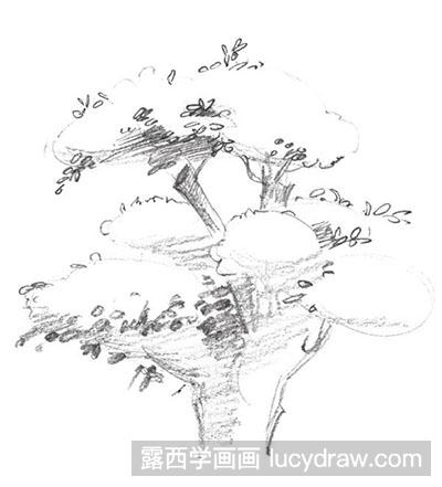 风景素描-榕树绘制方法