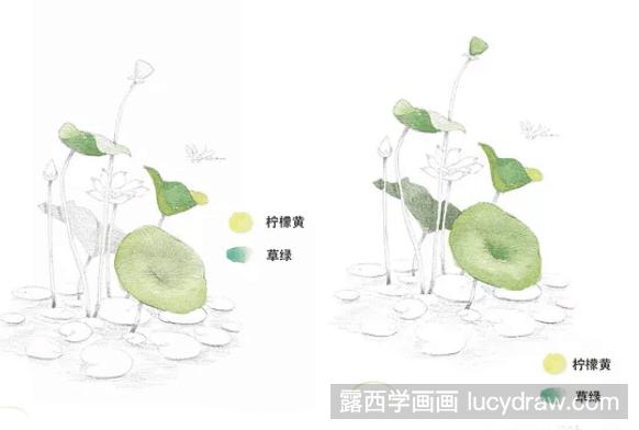 水彩画教程：怎么画荷花