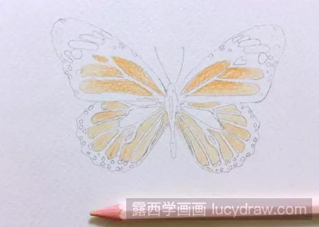 彩铅蝴蝶的画法步骤