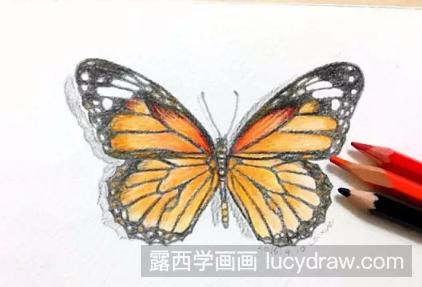 彩铅蝴蝶的画法步骤