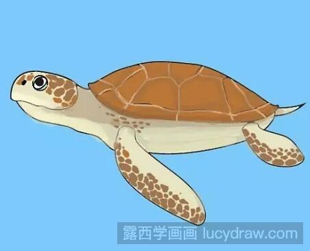 简笔画教程:教你画海龟