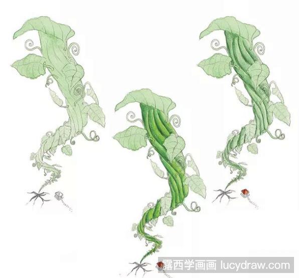 绿色藤蔓水彩画教程