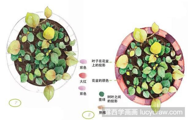 绿叶小植物水彩画教程