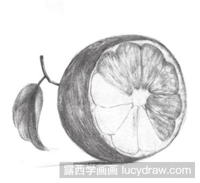 怎么画素描橙子