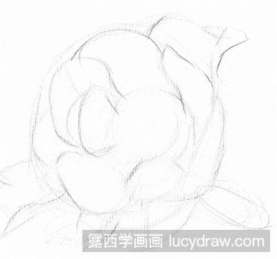 素描教程-如何绘制牡丹花