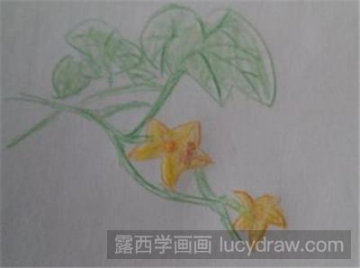 儿童画教程：如何画青黄瓜