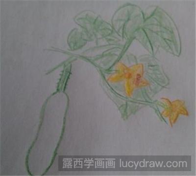 儿童画教程：如何画青黄瓜