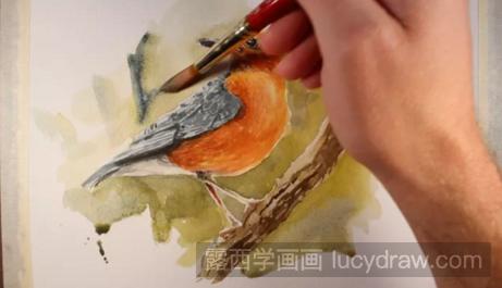 水彩画漂亮的小鸟