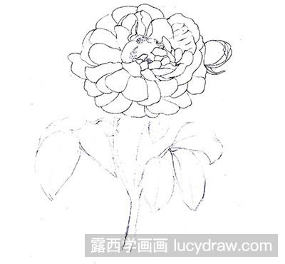 水粉画教程：玫瑰花的绘制方法