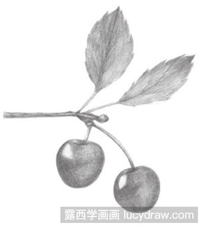 素描水果教程-小樱桃的绘制方法