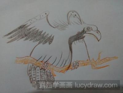 老鹰彩铅画教程