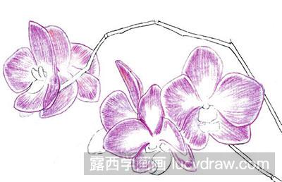 水粉画教程：兰花的绘制方法